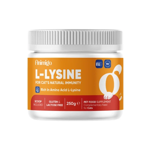 L Lysin Pulver