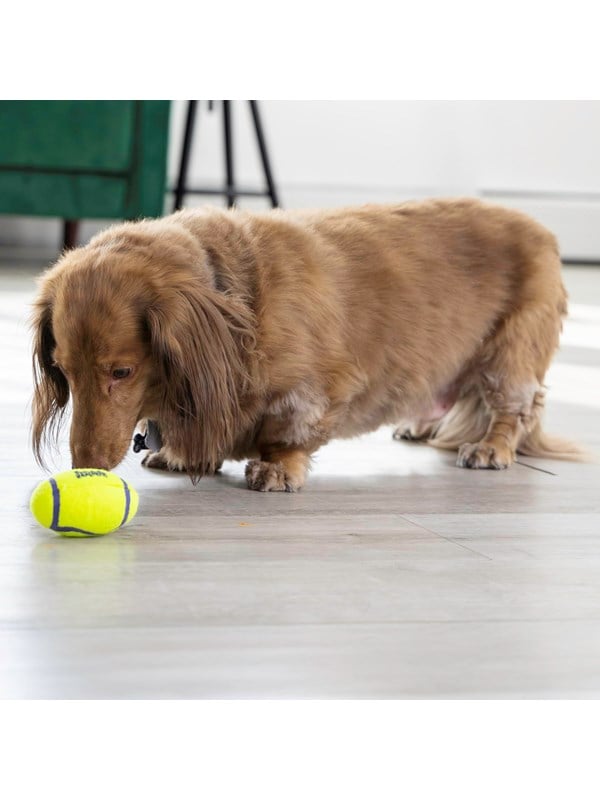 Kong Hundelegetøj Airdog Squeaker Football Small 8cm