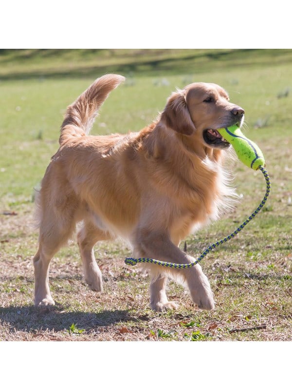 Kong Hundelegetøj Airdog Fetch Stick Med Reb