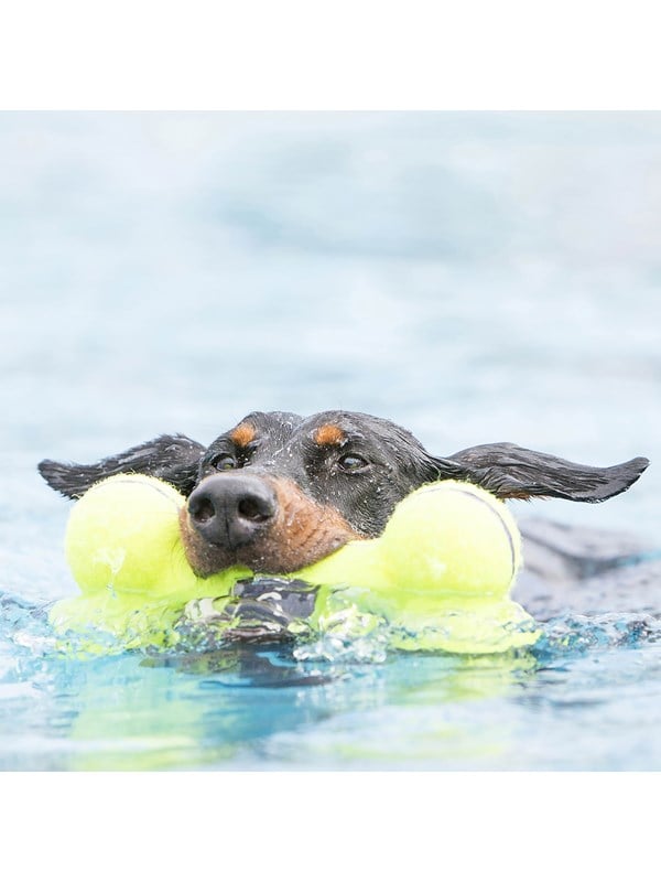 Kong Hundelegetøj Airdog Squeaker Bone 11cm
