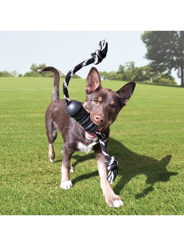 Kong Dog Toy Extreme Dental W Rope Medium