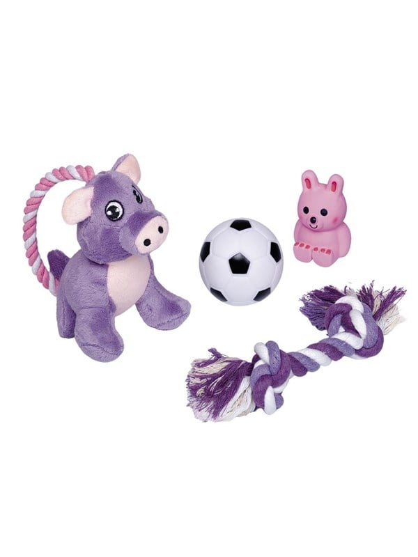 Nobby Hvalpe Starter Set   Legetøj