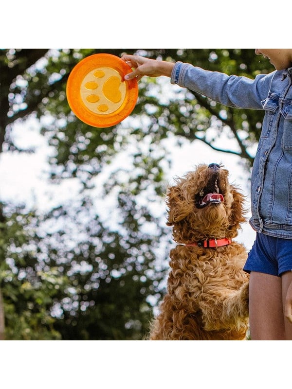 Nobby Tpr Frisbee   Paw