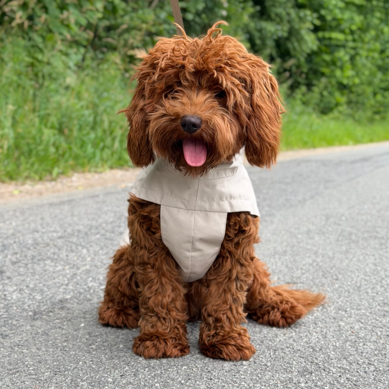 By Doodle Dogs Regnjakke I Beige   1