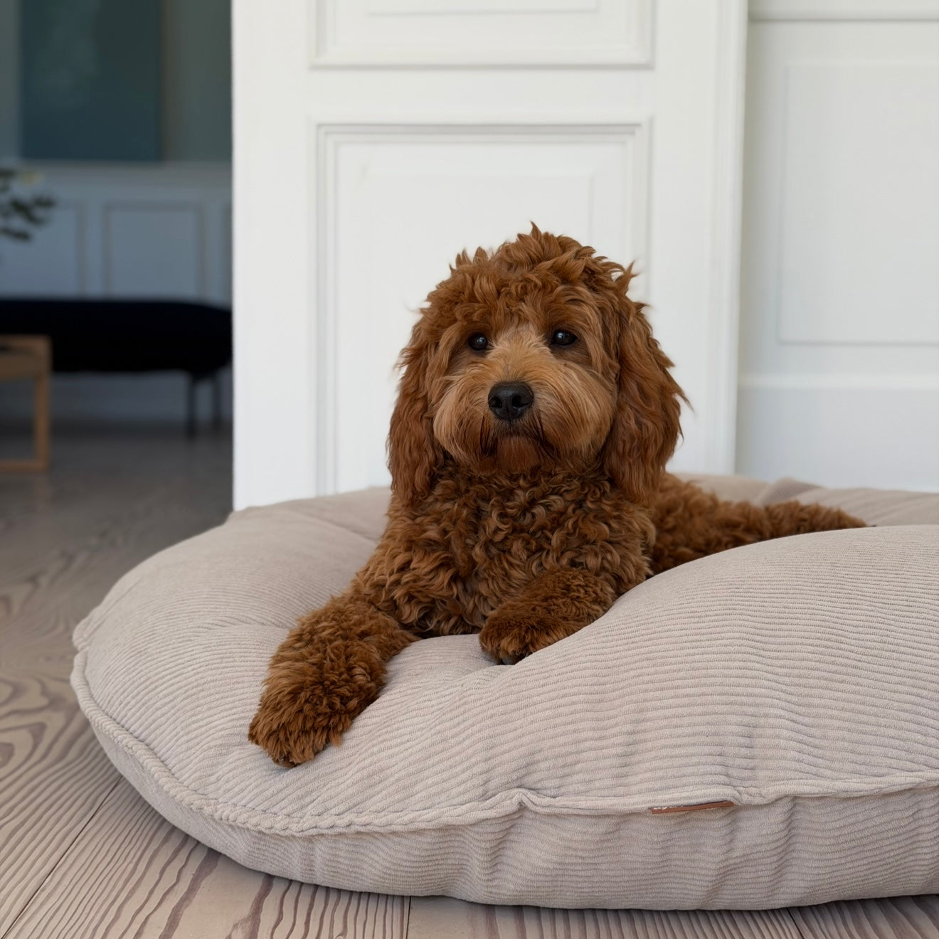 Ingolf Hundekurven Lys Brun