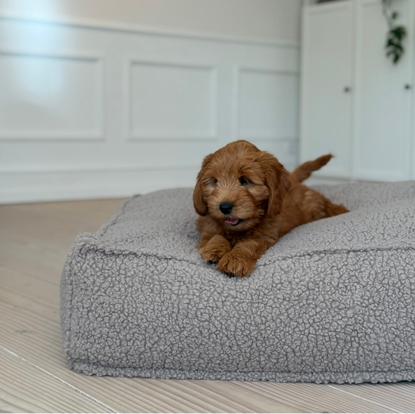 Frede Hundekurven I Sherpa Fleece