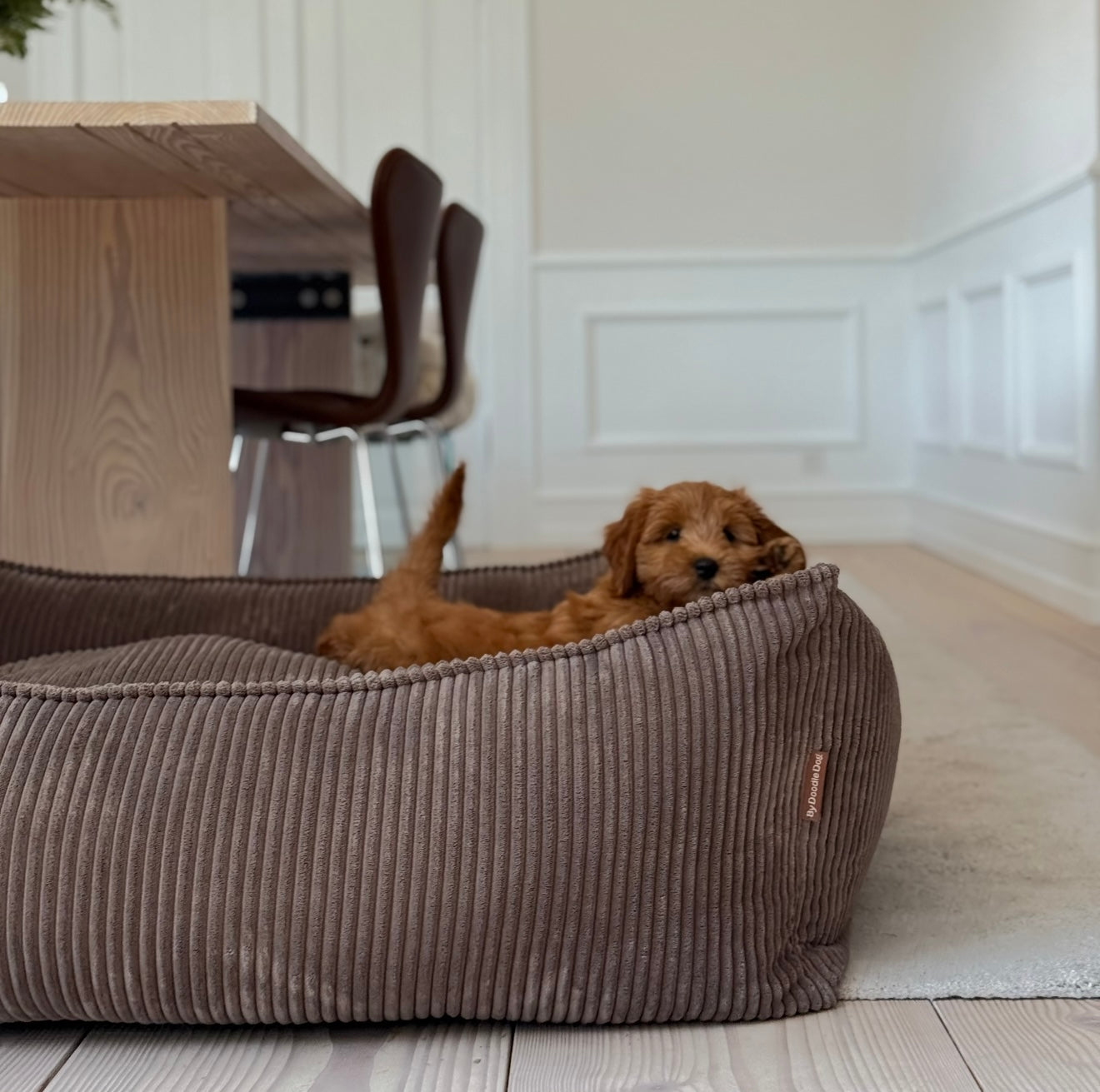 Carl Hundekurven Xl   Mørk Brun   Forudbestilling Uge 1