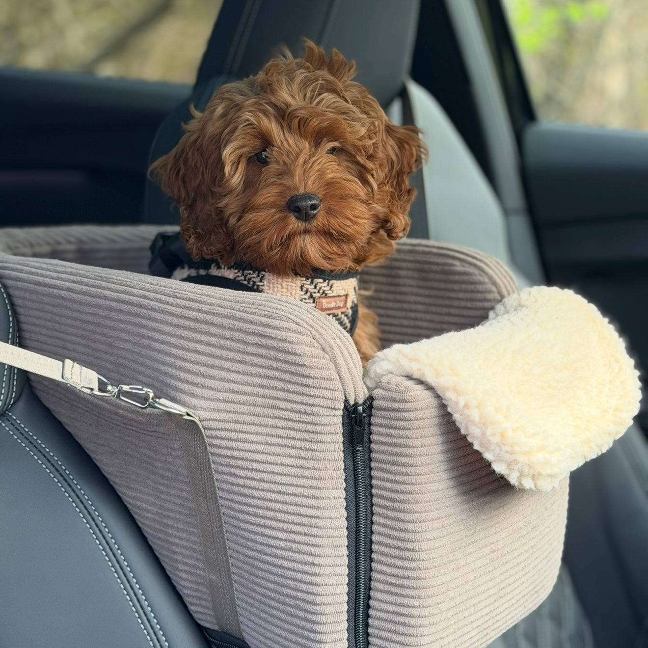 Agnes Bilsæde Til Hunde   Midterkonsol