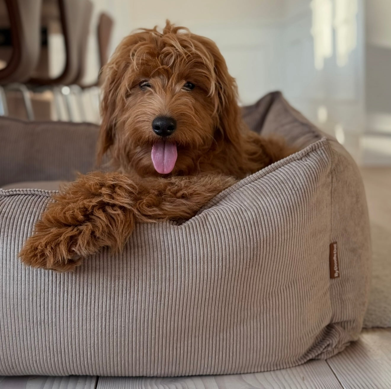 Carl Hundekurven Lys Brun Smal Fløjl   Medium