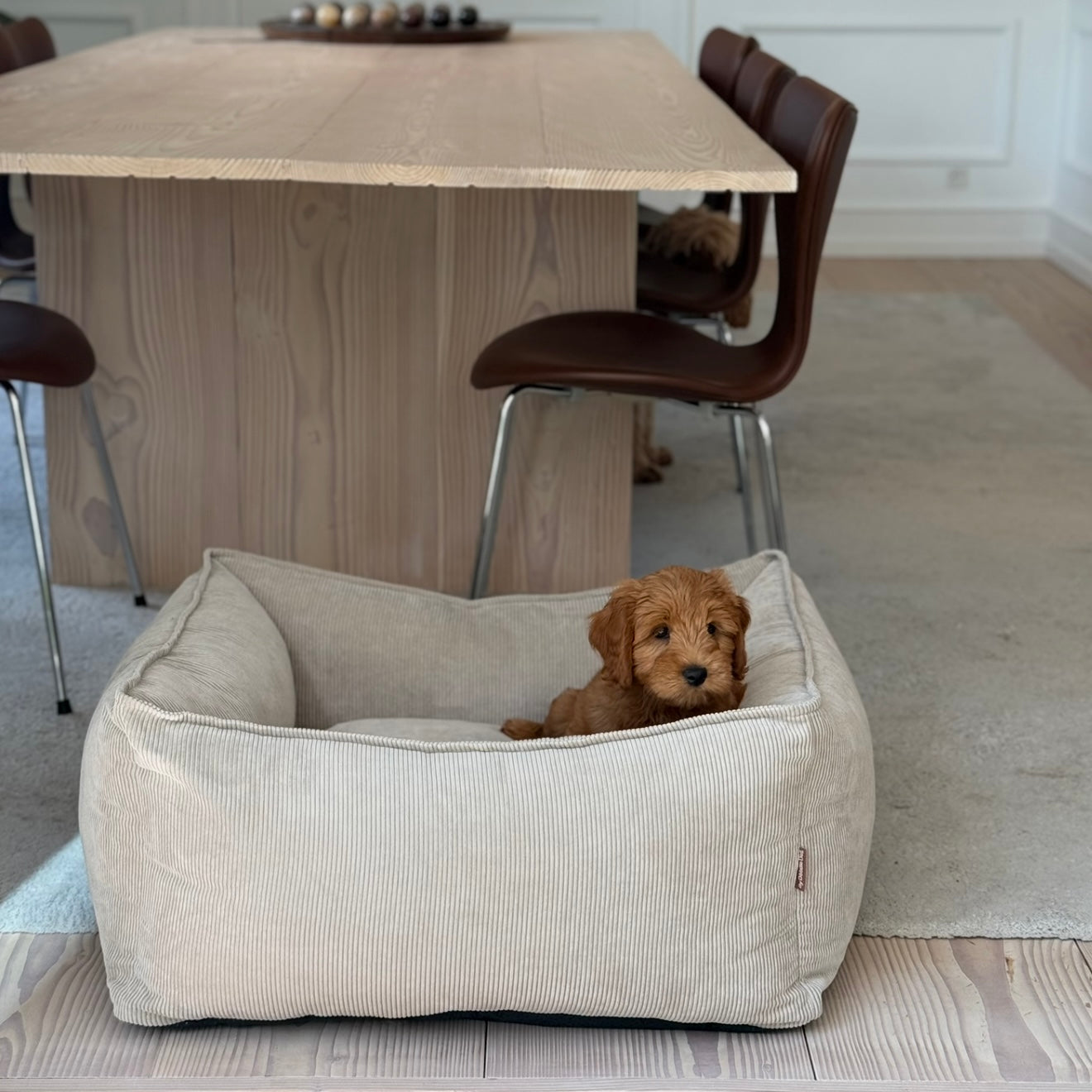 Carl Hundekurv   Beige   Smal Fløjl   Xl