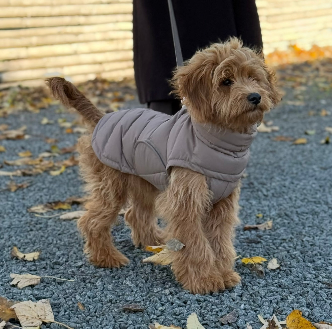 By Doodle Dogs Eva Hundejakke Vinter   Brun   1