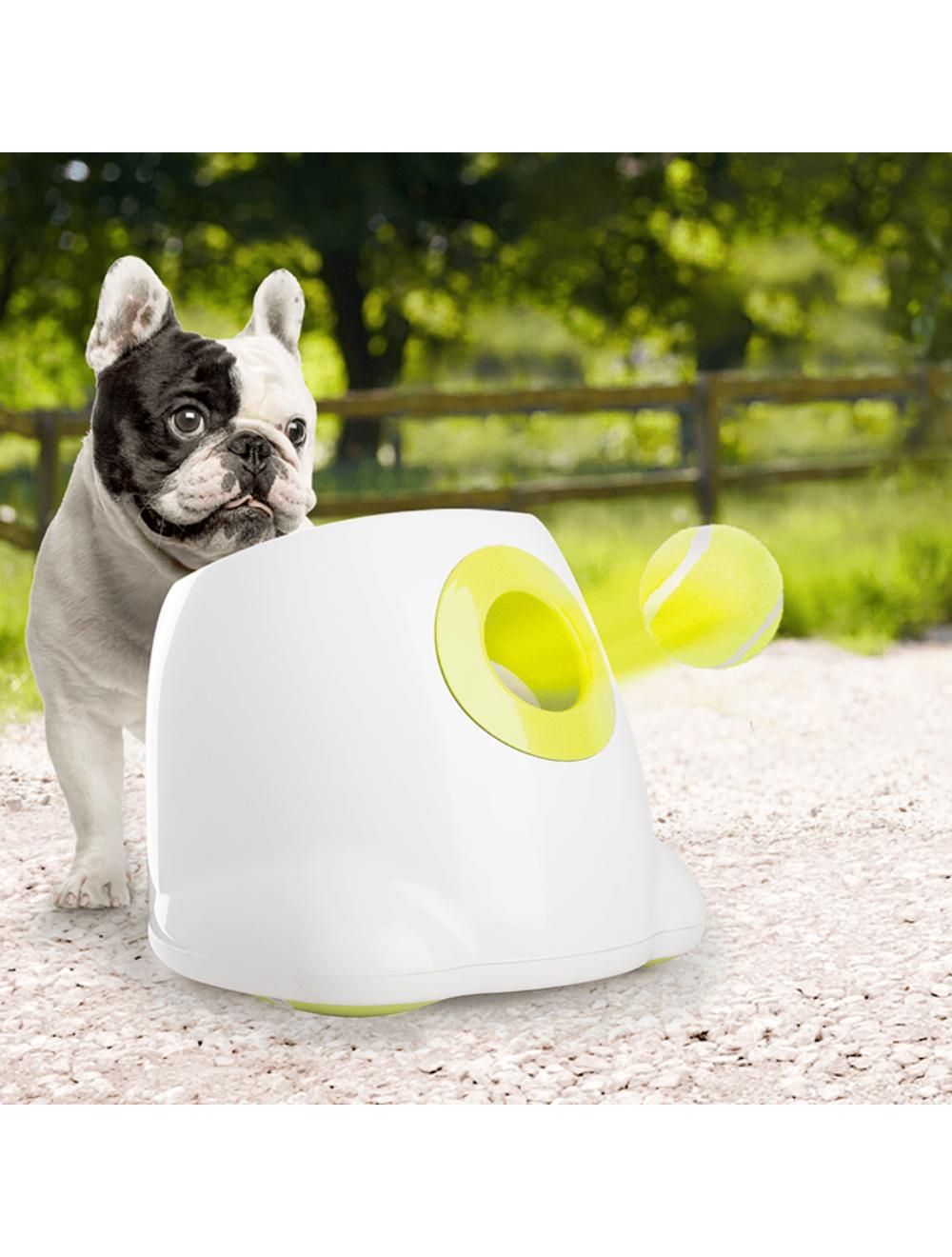 Afp Hyper Fetch Mini Ball Launcher For Hunde  3 9 Meter Kast  Ac Adapter Eller Batteri  Til Bolde 6 5 Cm I Diameter  Legetøj Til Hunde