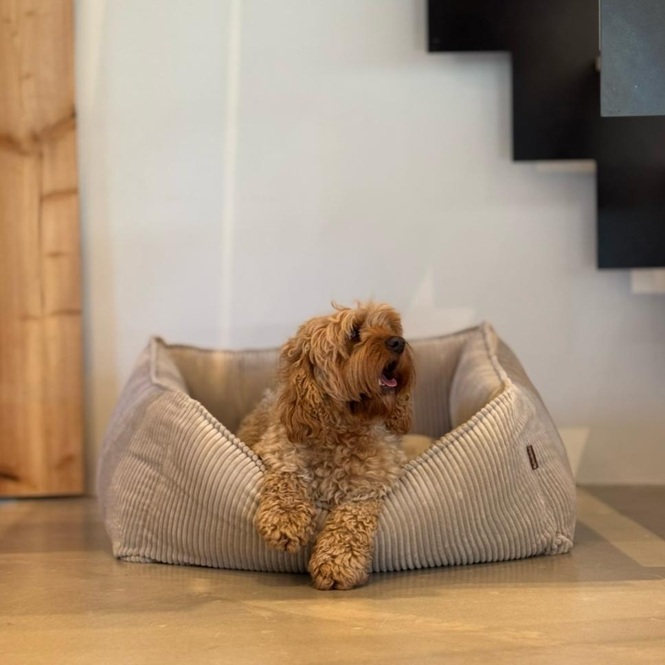 Carl Hundekurv   Beige I Bred Fløjl   Large
