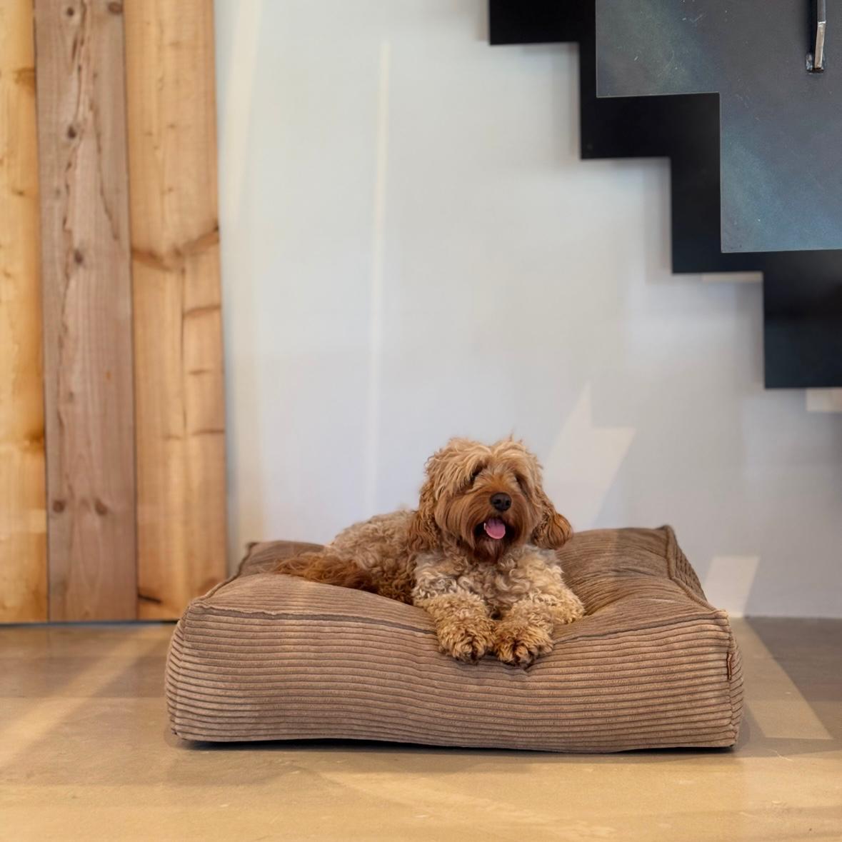 Frede Hundekurven   Lys Brun   Medium
