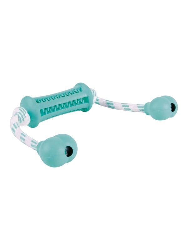 Trixie Denta Fun Stick With Rope   Mint Flavour 9x37cm