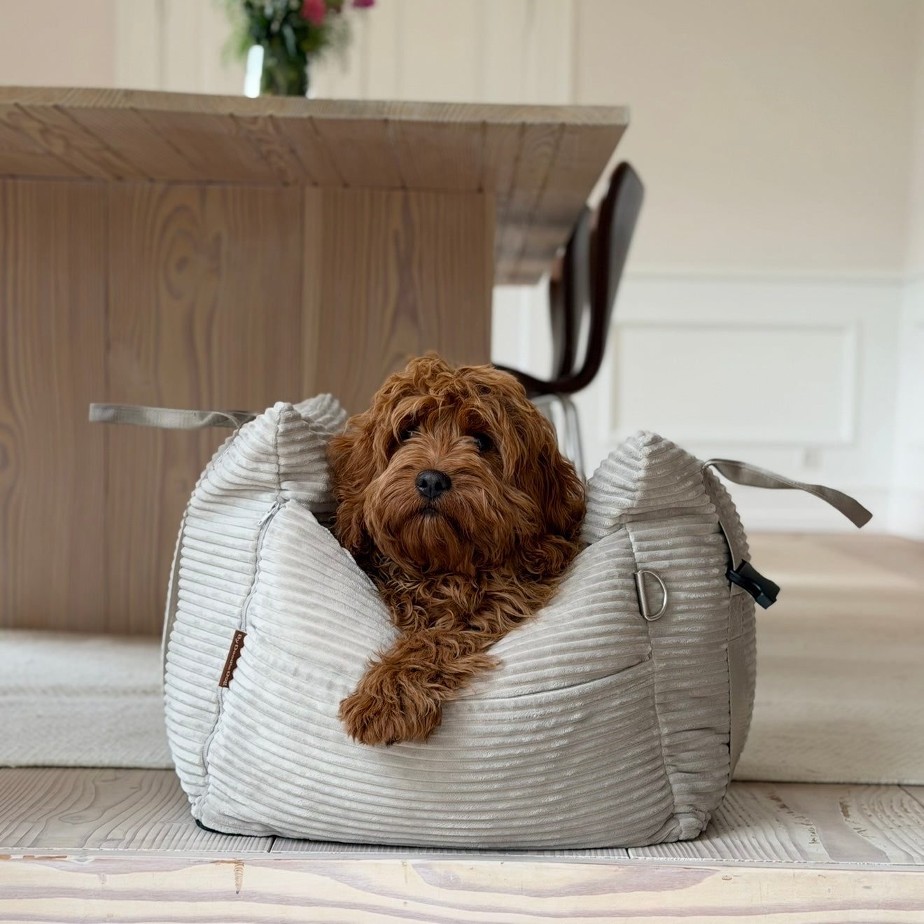 Lille Bjørk Bilsæde Til Hunde   Beige   Bred Fløjl 52 X 52 X 36 Cm