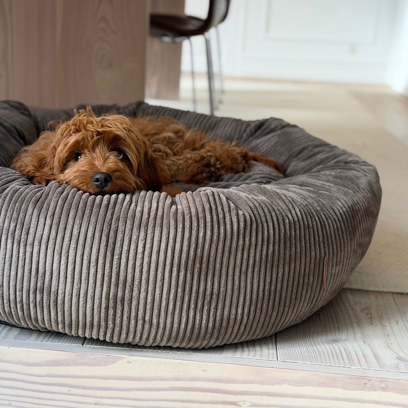 Elva Hundekurven I Mørk Brun   Bred Fløjl   Medium 65ø