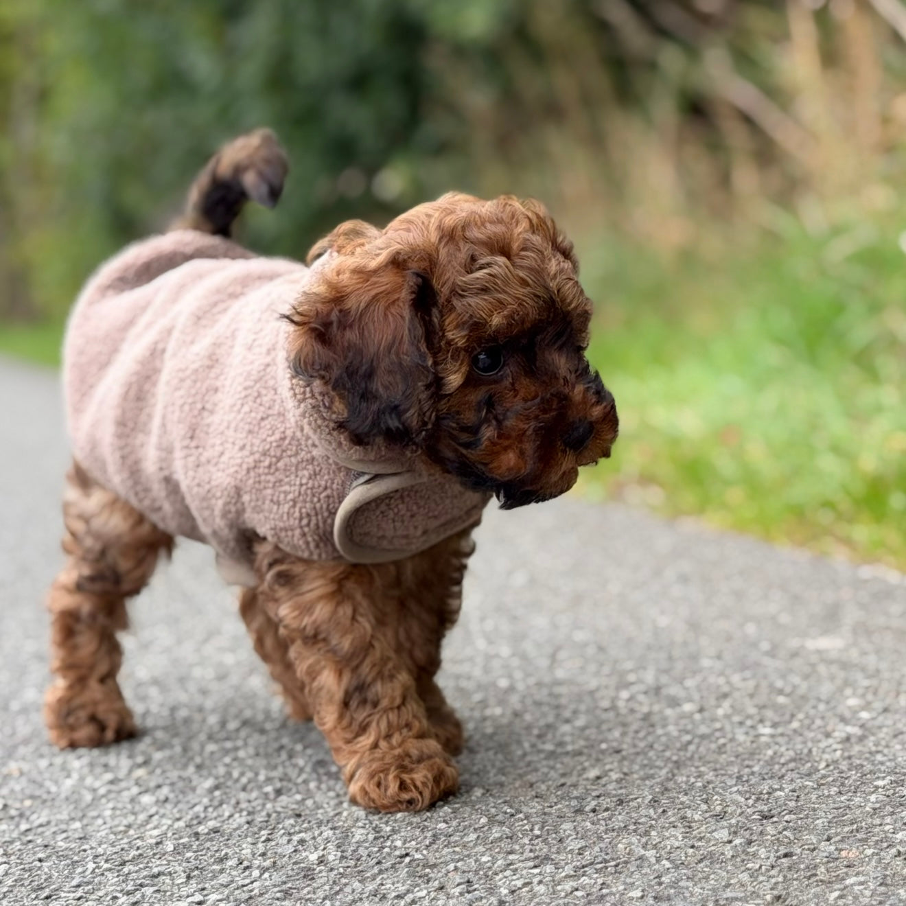 By Doodle Dogs Sherpa Fleece Trøje   1
